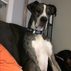 Meet your Posher, Kelsi